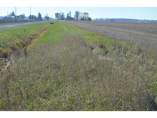 Tract 3 - FARMLAND AUCTION - 165.5+/- ACRES OFFERED IN 5 TRACTS OR COMBINATIONS IN EAST ALLEN COUNTY